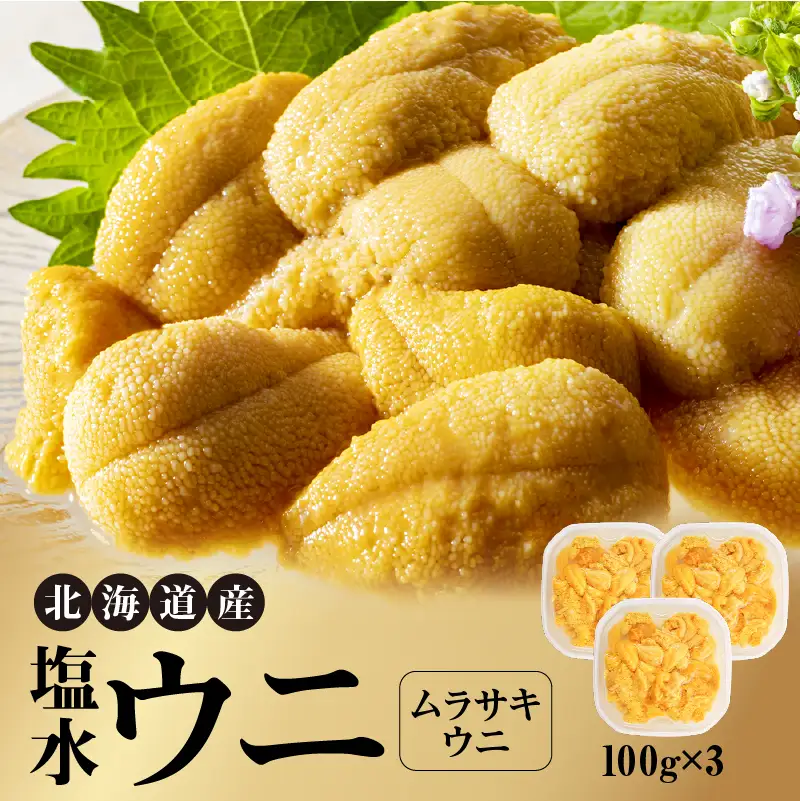 北海道産　世壱屋塩水ウニ（ムラサキウニ）300g_Y038-0144