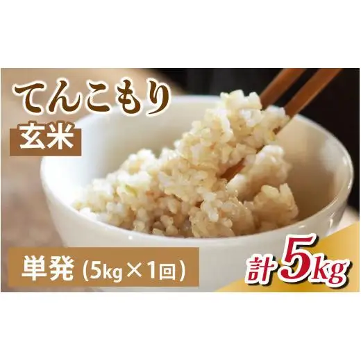 25年10月中旬以降順次発送　玄米  5kg 富山県滑川産「てんこもり」与文のお米 / 産地直送 袋 ブランド米 お米 白米 ご飯 ごはん 富山 滑川市 アグリめぐみ [A-050003]