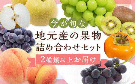 旬の果物 詰め合わせ セット 福岡県産 フルーツ 季節 果物 【2026年6月上旬から11月上旬頃発送予定】