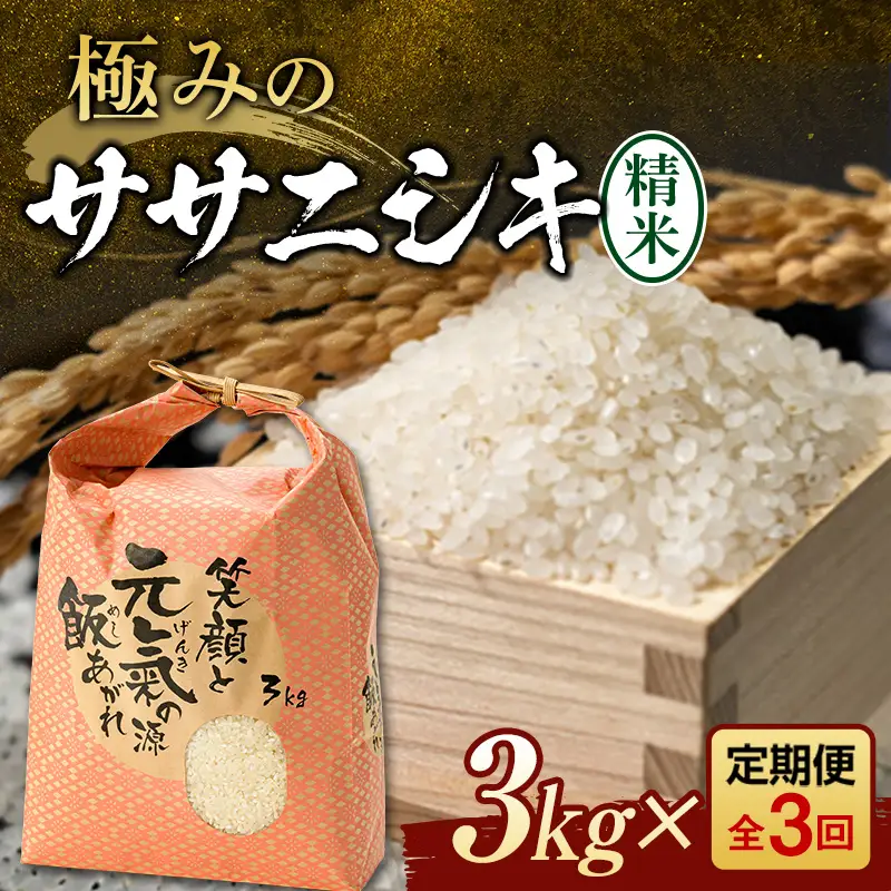 【令和8年産】 定期便 全3回 極みのササニシキ（精米）3kg 米 お米 おこめ ふるさと納税 山形県 新庄市 F3S-2834