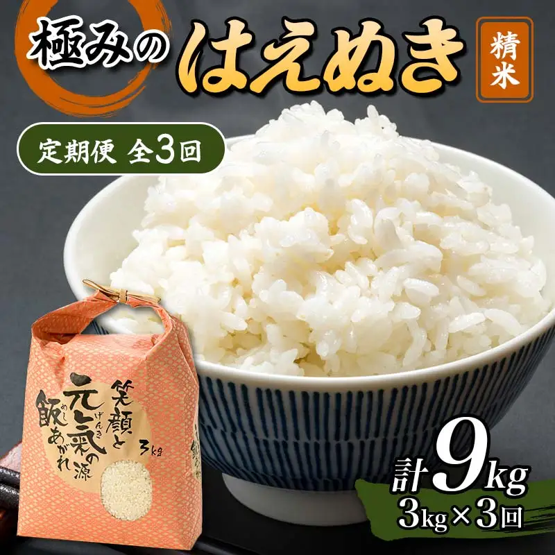 【令和8年産】定期便 全3回 極みのはえぬき（精米）3kg 米 お米 おこめ ふるさと納税 山形県 新庄市 F3S-2838