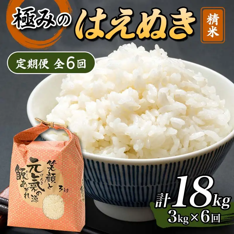 【令和8年産】定期便 全6回 極みのはえぬき（精米）3kg 米 お米 おこめ ふるさと納税 山形県 新庄市 F3S-2839