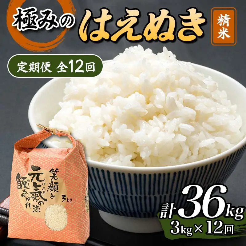 【令和8年産】定期便 全12回 極みのはえぬき（精米）3kg 米 お米 おこめ ふるさと納税 山形県 新庄市 F3S-2840