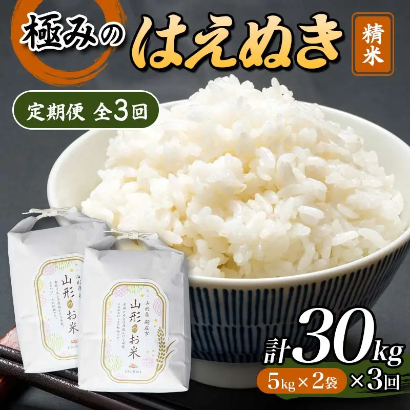 【令和8年産米先行予約】(全3回定期便)極みのはえぬき 精米 5kg×2袋 米 お米 おこめ ふるさと納税 山形県 新庄市 F3S-2880