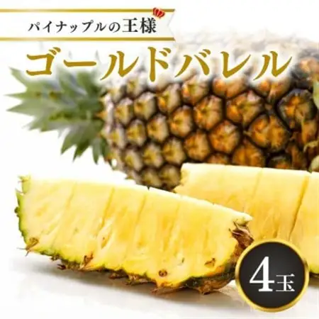【2027年5月下旬から順次発送・ハウス栽培】パイナップルの王様 ゴールドバレル4玉【配送不可地域：離島】【1608235】