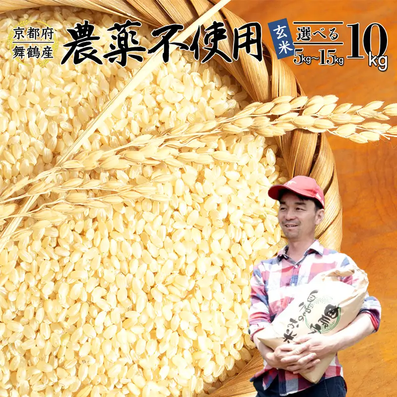 令和7年度産 棚田米 玄米 10kg コシヒカリ 栽培期間中 農薬不使用