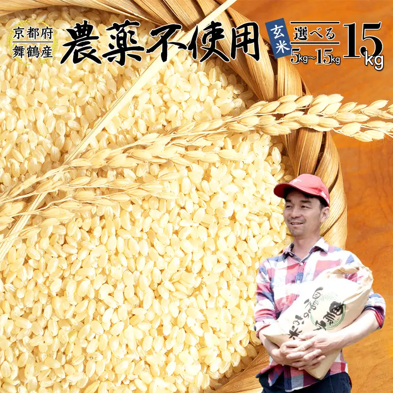 令和7年度産 棚田米 玄米 15kg コシヒカリ 栽培期間中 農薬不使用