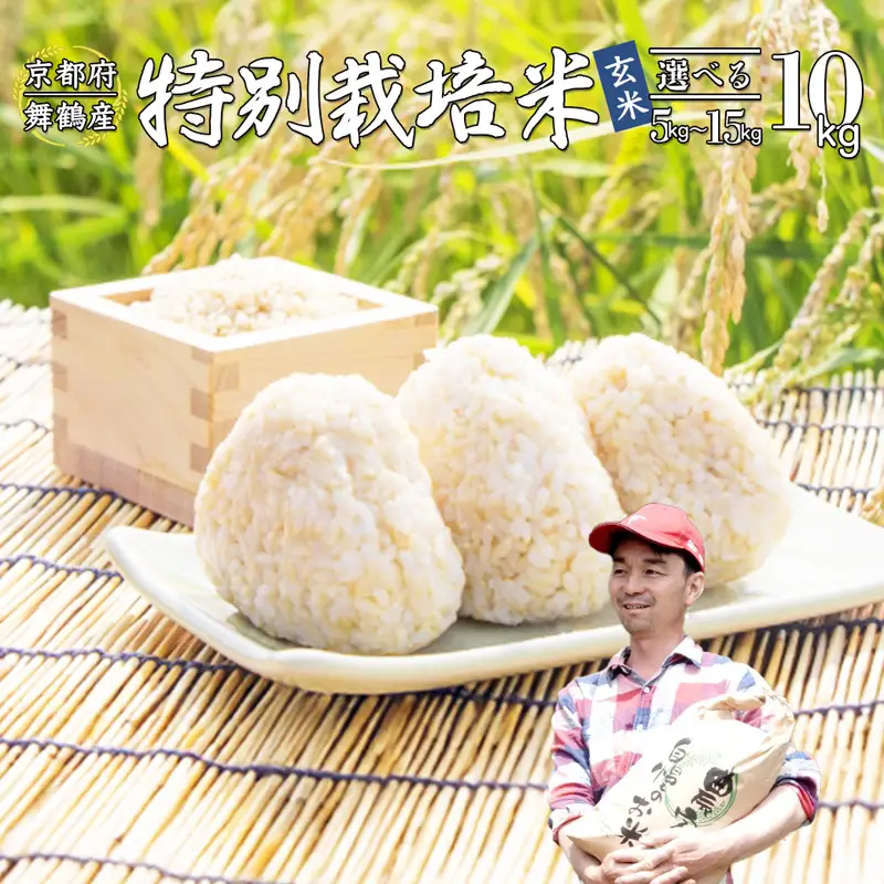 令和8年度産 新米 棚田米 10kg 玄米 コシヒカリ 特別栽培米 7割削減