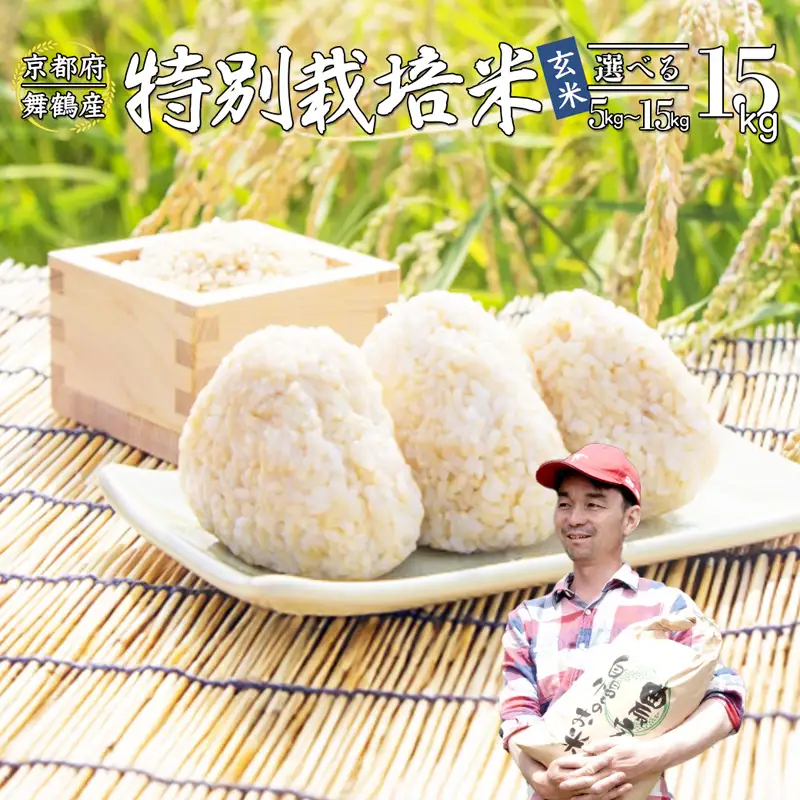 令和8年度産 新米 予約受付 棚田米 15kg 玄米 コシヒカリ 特別栽培米 7