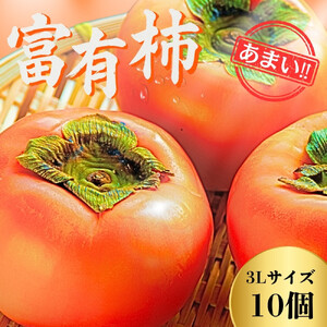 【先行予約】Farm m&aの富有柿 3L×10個 秀品 岐阜県 大野町（2026年11月下旬～発送）農家直送 果物 フルーツ 秋の味覚 柿 かき 富有 ふゆう