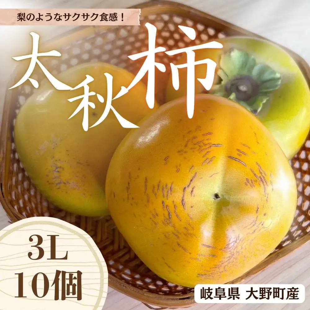 【先行予約】梨のような食感！ Farm m&aの太秋柿 3L×10個 秀品 岐阜県 大野町（2026年10月中旬～発送）農家直送 果物 フルーツ 秋の味覚 柿 かき 太秋 たいしゅう