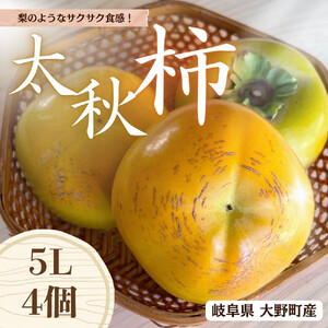 【先行予約】 梨のような食感！ Farm m&aの太秋柿 5L×4個 秀品 岐阜県 大野町（2026年10月中旬～発送）農家直送 果物 フルーツ 秋の味覚 柿 かき 太秋 たいしゅう