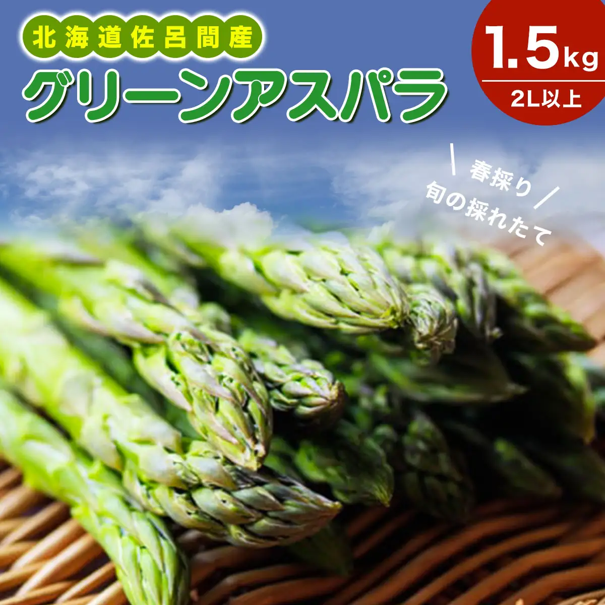 【先行受付】春採りグリーンアスパラ 1.5kg 2L以上 佐呂間町産（2027年3月末より順次発送予定） SRMM017