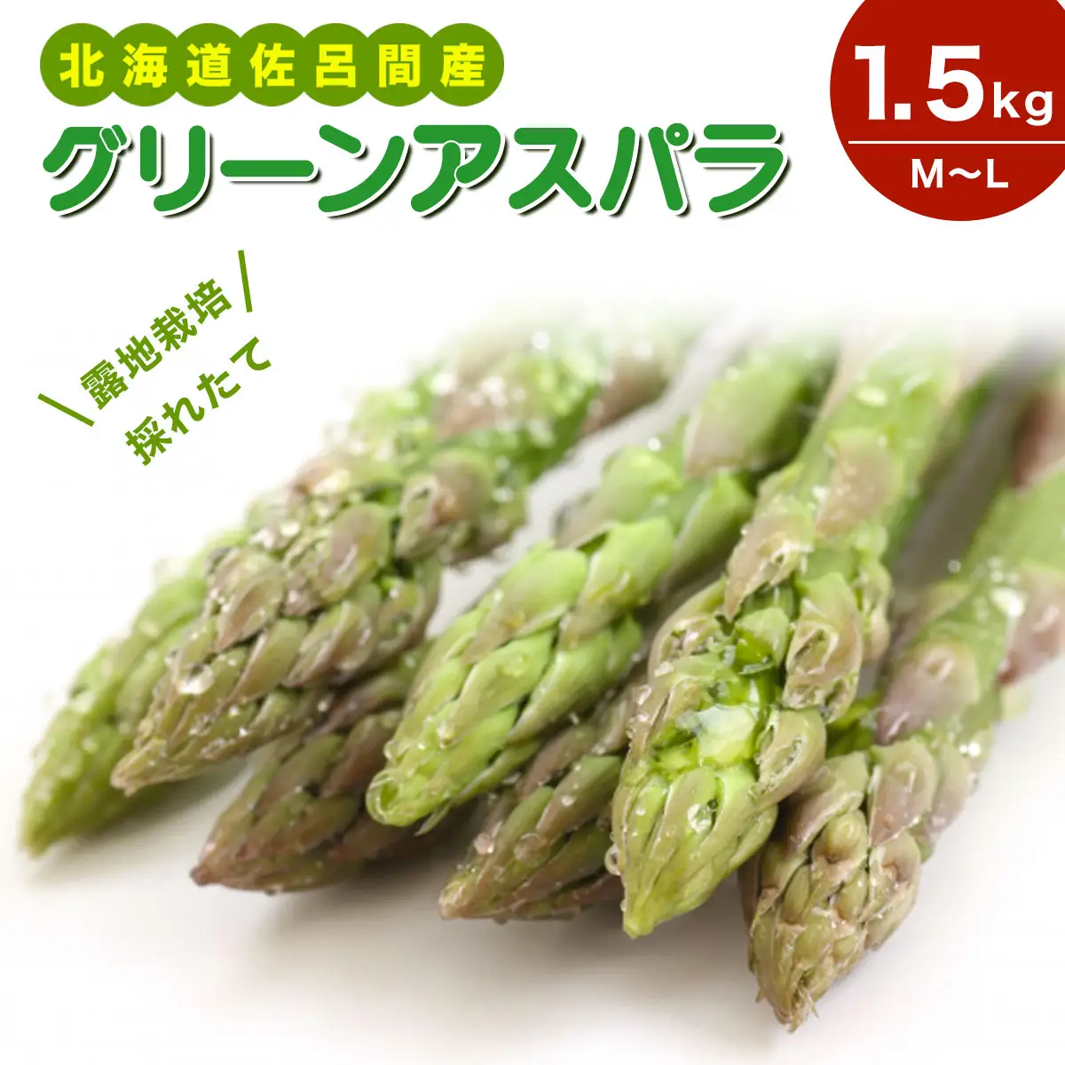 露地栽培 グリーンアスパラ 1.5kg （M～L） 北海道 佐呂間産 （2027年5月出荷開始先行予約） SRMM018