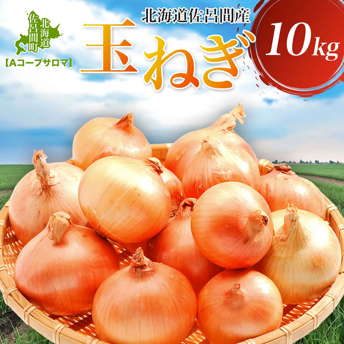 玉ねぎ 10kg 北海道 佐呂間産 （2026年10月出荷開始先行予約） SRMM019