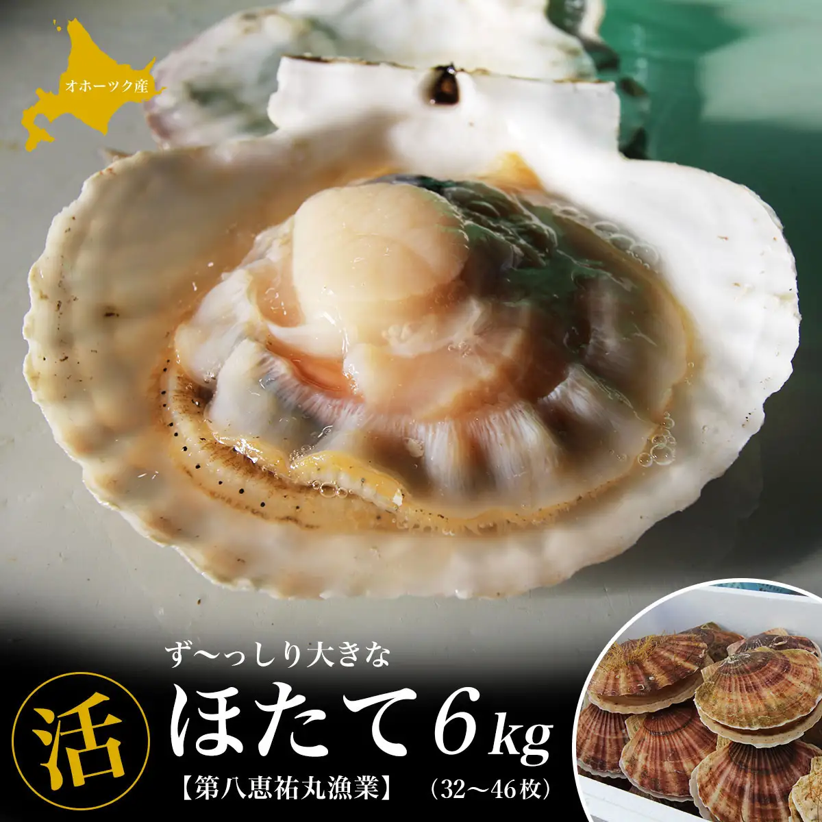 オホーツク産 『活』 ほたて 6kg（32～46枚） SRMN002