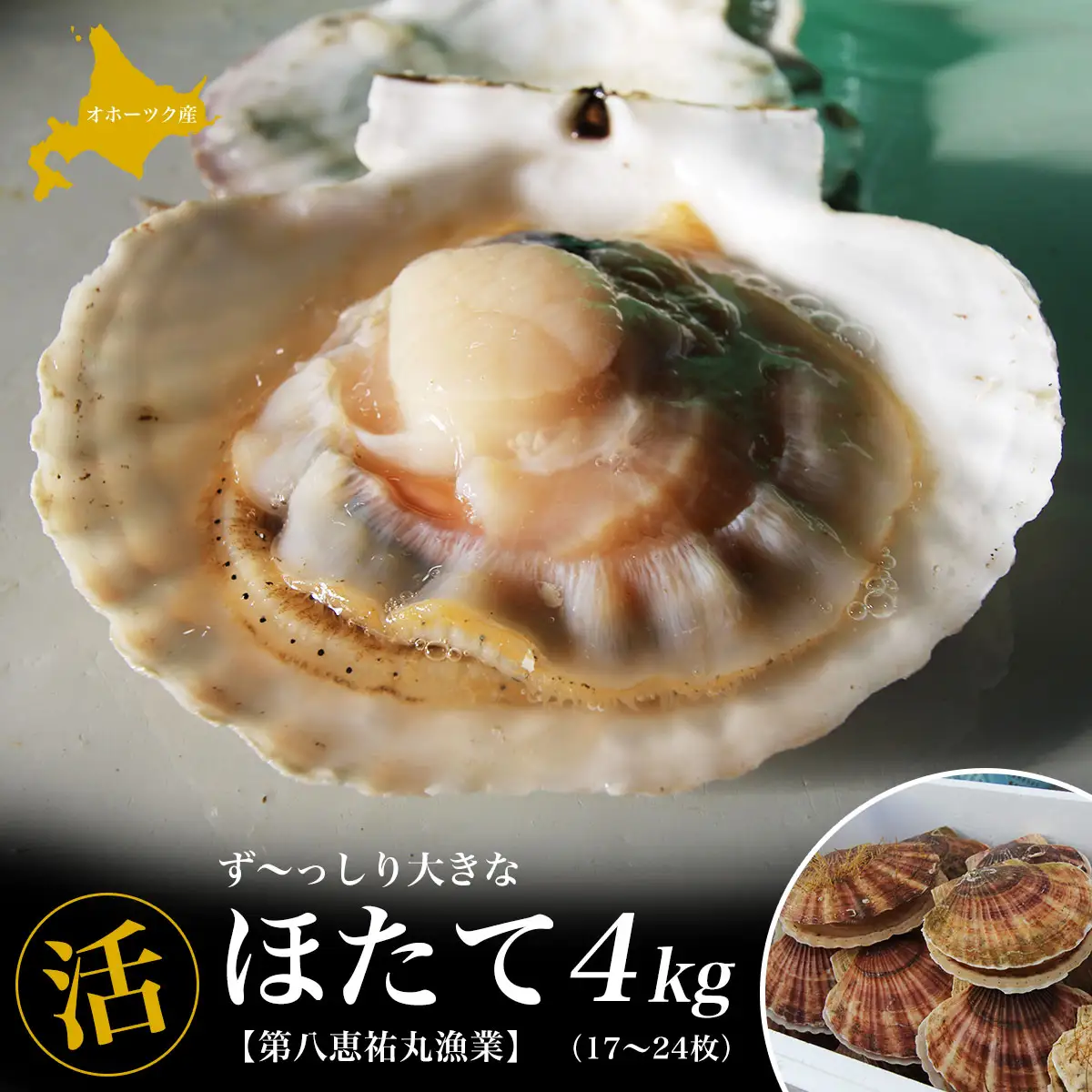 オホーツク産 『活』 ほたて 4kg（17～24枚） SRMN015