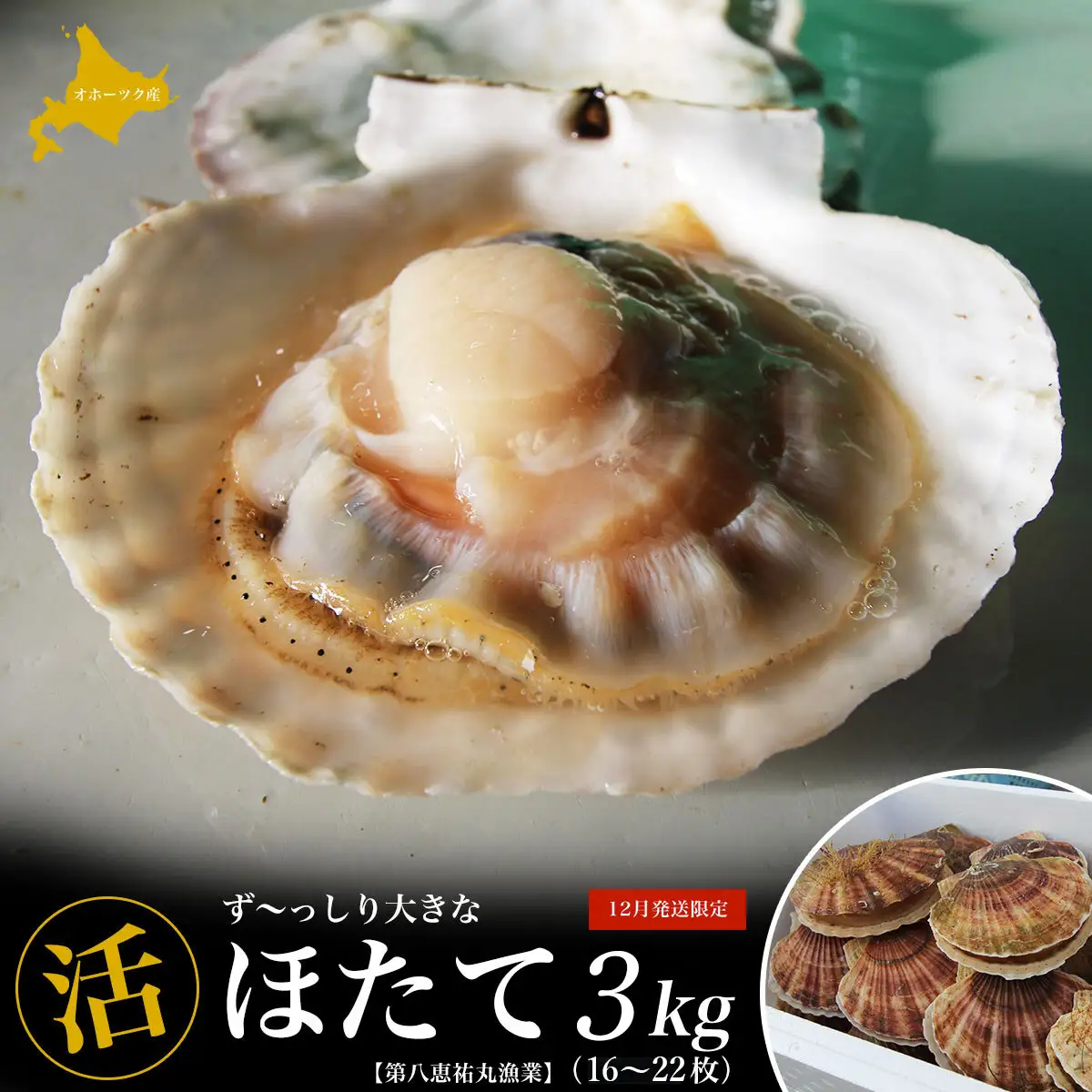 【12月発送限定】オホーツク産 『活』 ほたて 3kg（16～22枚） SRMN022