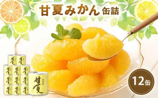 缶詰 甘夏みかん缶詰（全粒）12缶入 007-029