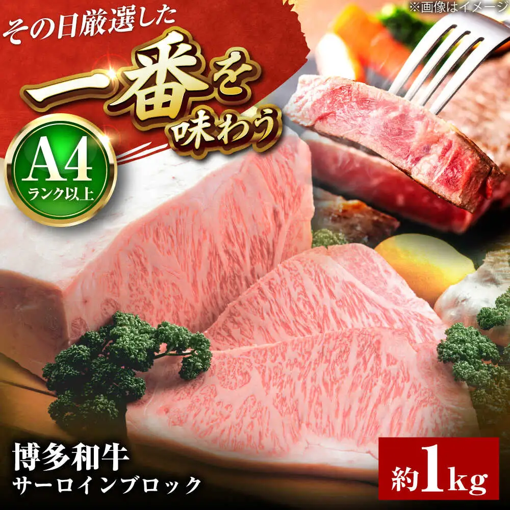 博多和牛 サーロインブロック 約1kg[BGAB011] ステーキ ブロック肉 国産牛
