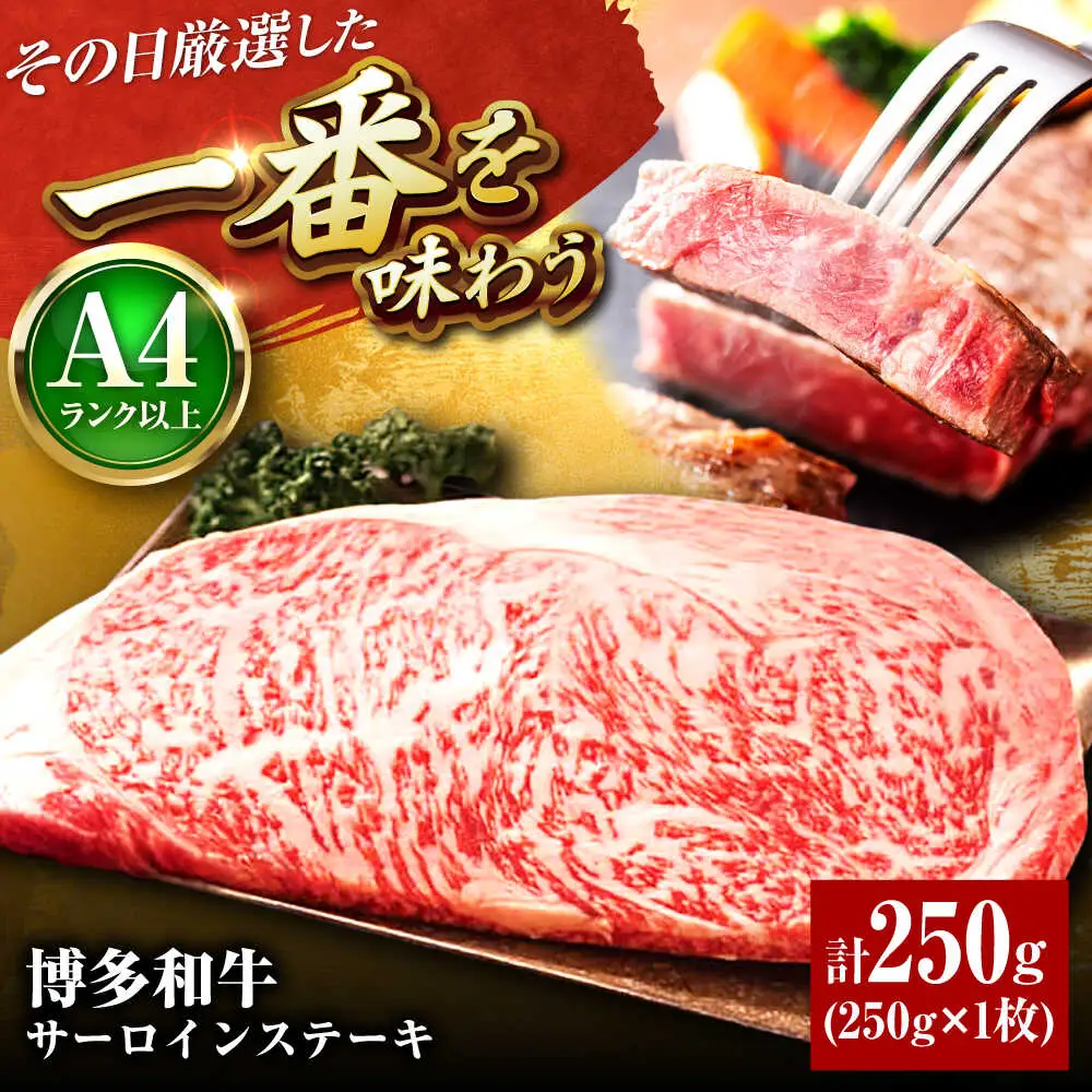 博多和牛 サーロインステーキ 1枚[BGAB013] 牛肉 焼肉 ステーキ