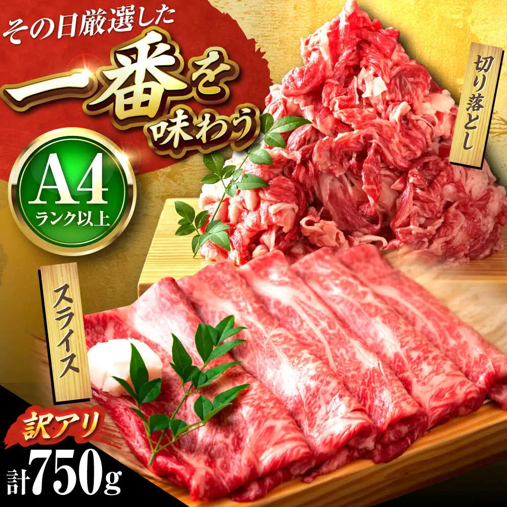 【訳あり】博多和牛 スライス&切り落とし750g [BGAB020]訳あり 牛肉