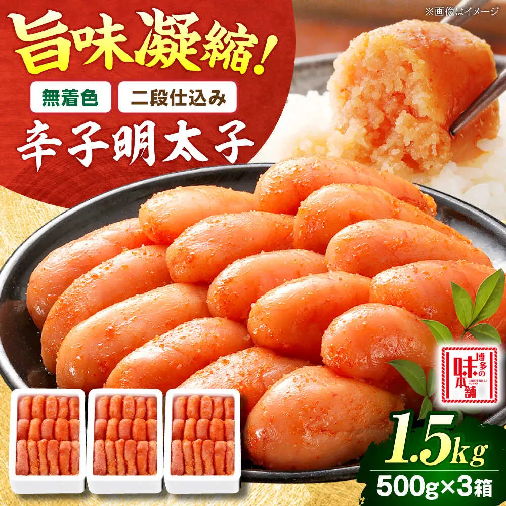 【無着色・二段仕込み】辛子明太子 1.5kg(500g×3)[BGAI006]無着色めんたいこ