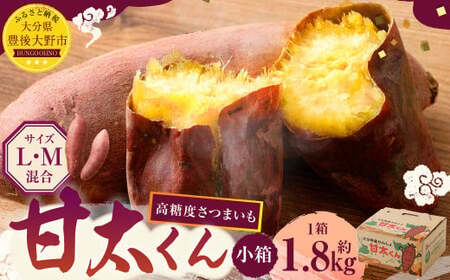171-1130x2 【先行予約】 高糖度さつまいも 甘太くん 約1.8kg（Lサイズ3本・Mサイズ5本） 小箱 サツマイモ 甘藷 かんしょ おやつ 焼き芋 【2026年12月上旬から2027年4月下旬発送予定】