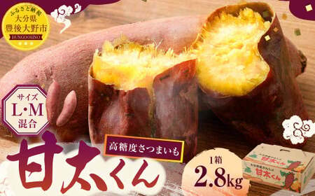 171-1133x2 【先行予約】 高糖度さつまいも 甘太くん 約2.8kg（Lサイズ5本・Mサイズ8本） サツマイモ 甘藷 かんしょ おやつ 焼き芋 【2026年12月上旬から2027年4月下旬発送予定】