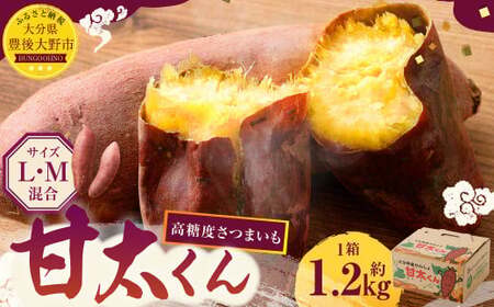 171-1134x2 【先行予約】 高糖度さつまいも 甘太くん 約1.2kg（Lサイズ2本・Mサイズ3本） サツマイモ 甘藷 かんしょ おやつ 焼き芋 【2026年12月上旬から2027年4月下旬発送予定】