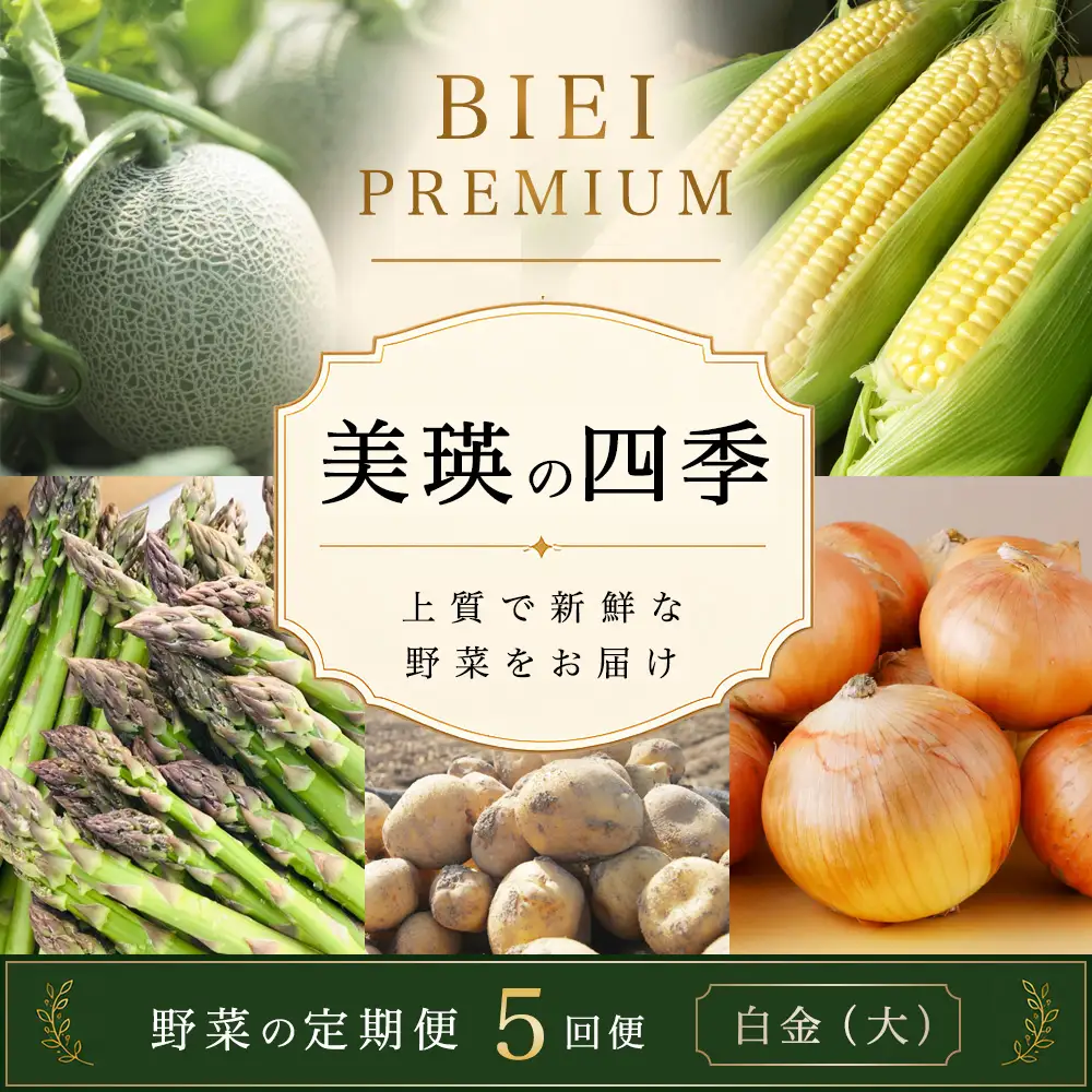 野菜セット 【令和9年産予約受付】5回 定期便 美瑛の四季 白金（大） 野菜詰め合わせ