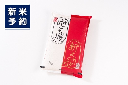 【新米受付・令和8年産米】新潟県村上市岩船産 新之助10kg(5kg×2ヶ月コース)1013007N 