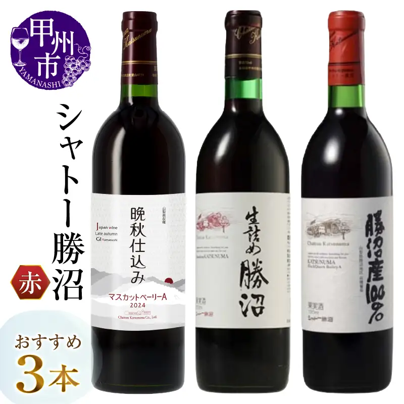 シャトー勝沼おすすめ赤ワイン3本セット（MG）C1-483 【ワイン シャトー勝沼 赤ワイン 甲州市 山梨県】