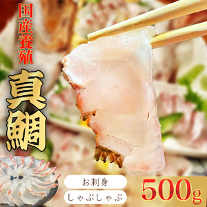 （冷凍） 【3月発送分】 国産 養殖 真鯛 500g ／ 長栄丸 ふるさと納税 鯛 タイ たい 小分けパック 短冊 刺身 しゃぶしゃぶ 三重県 大紀町