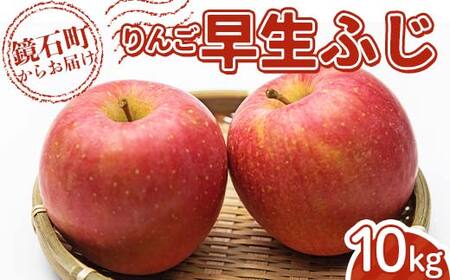 ＜先行予約＞福島県産 甘い りんご 早生ふじ 10kg （24玉～40玉） リンゴ フルーツ 果物 F6Q-288