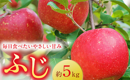 ＜先行予約＞福島県産 甘い りんご ふじ 5kg （12玉～20玉） リンゴ フルーツ 果物 F6Q-289