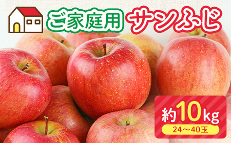 ＜先行予約＞福島県産 家庭用 りんご サンふじ 10kg （24玉～40玉） リンゴ フルーツ 果物 F6Q-292