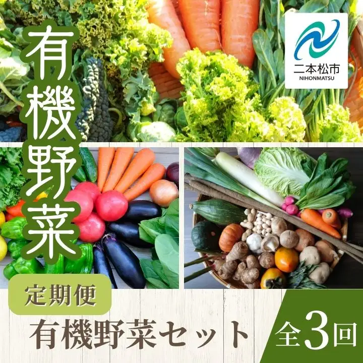 定期便 全3回 季節の有機野菜セット【一般社団法人二本松有機農業研究会】