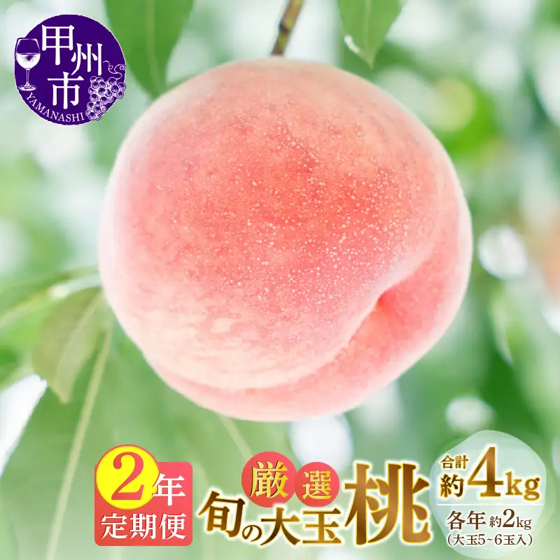 【定期便】甲州市産厳選旬の大玉桃約2kg 2年定期便【2025年・2026年発送】（MG）C-485 【桃 もも モモ 令和7年発送 令和8年発送 期間限定 フルーツ 果物 山梨県産 甲州市】