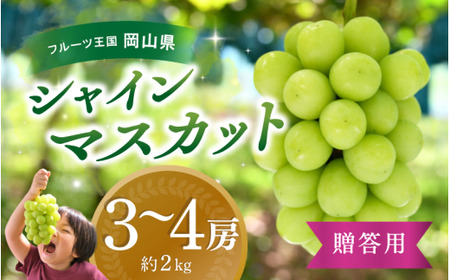 シャインマスカット 岡山県産ぶどう シャインマスカット約2kg（3～4房） 【hana016-02】