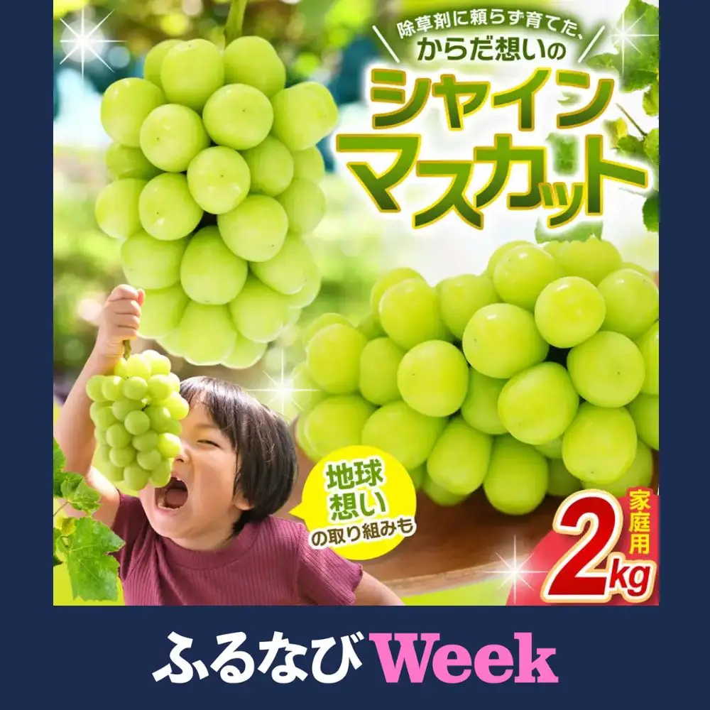 【ふるなびWEEK対象】シャインマスカット 家庭用 約2kg 安心して食べれるシャインマスカット 【hana061-02-f】