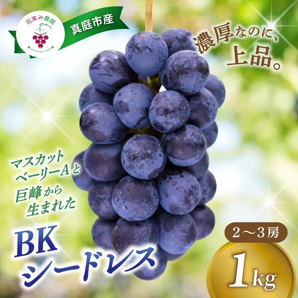 ぶどう 岡山県産 ぶどうBKシードレス1kg（2～3房） 【hana027-03】