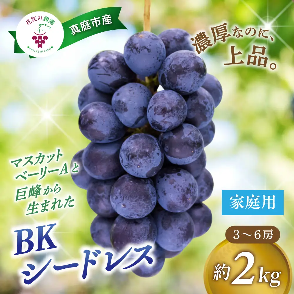 ぶどう 岡山県産 ぶどうBKシードレス家庭用2kg（3～6房） 【hana029-02】