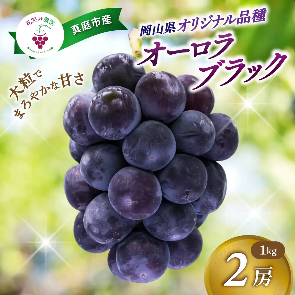 オーロラブラック 岡山県産ぶどう オーロラブラック1kg（2房） 【hana030-02】