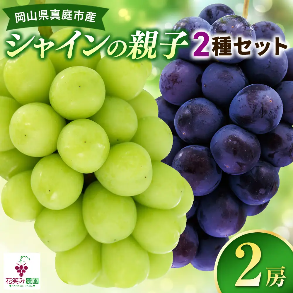 【2026年先行予約】岡山 花笑み農園　『園主おすすめぶどう2種セット』～シャインの親子セット～ 【hana065-02】