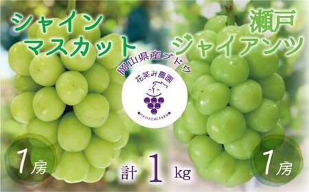 ぶどう 岡山県産シャインマスカット&瀬戸ジャイアンツぶどう1kg (2房) 【hana046-02】