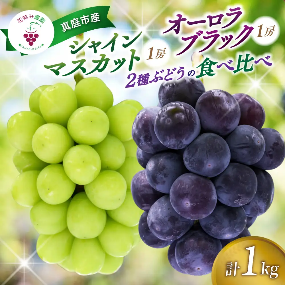 ぶどう 岡山県産シャインマスカット＆オーロラブラックぶどう1kg（2房） 【hana067-02】