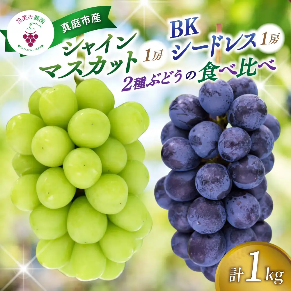 ぶどう シャインマスカット&BKシードレスぶどう1kg(2房)  【hana047-02】