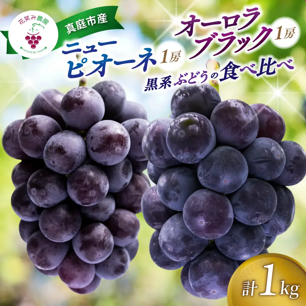 ぶどう 食べ比べ ニューピオーネ&オーロラブラック 1kg(2房) 詰め合わせぶどう【hana032-02】