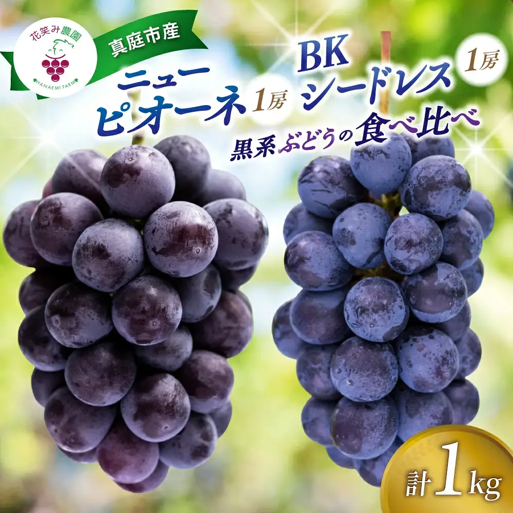 ぶどう 食べ比べ ニューピオーネ&BKシードレス 1kg(2房) 岡山県産ぶどう 【hana026-02】